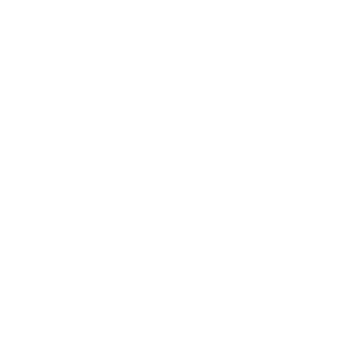 Shimmys